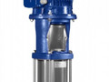 НАСОСЫ ВЕРТИКАЛЬНЫЕ DP PUMPS DPLHS