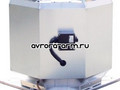 DVV-EX