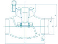 Криогенный обратный клапан подъемного типа – DH61F-40P-type3