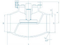 Криогенный обратный клапан подъемного типа – DH61W-40P