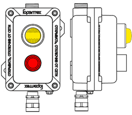 Модульный пост ПКИВА481 с двумя элементами управления/индикации