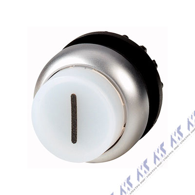 Головка кнопки с подсветкой, выступающие, без фиксации, цвет белый M22-DLH-W-X1