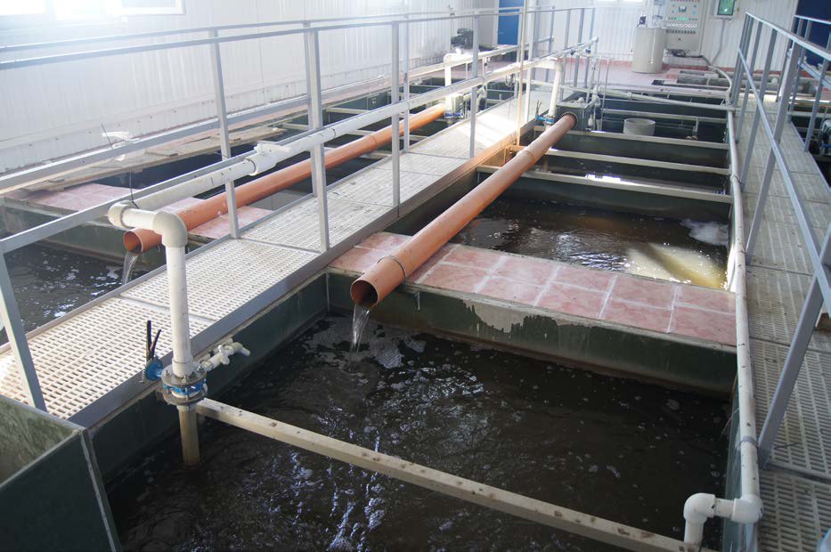 Станции очистки сточных вод с мелкопузырчатой аэрацией АЧБ 250-750